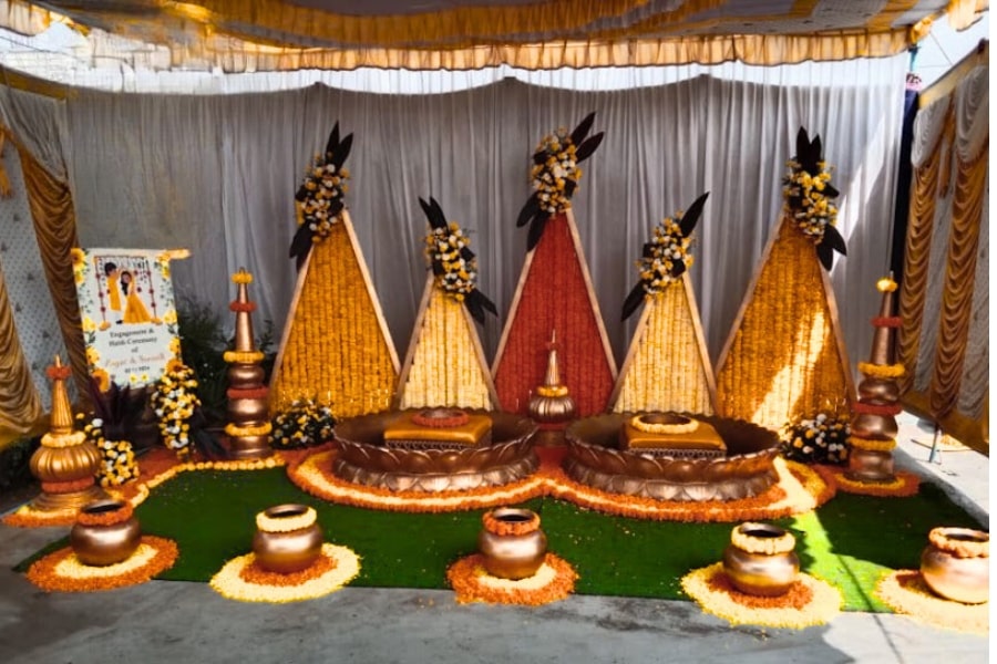 Haldi 1